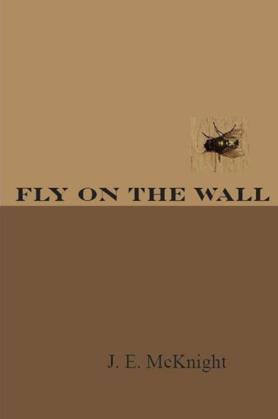 Fly on the Wall